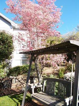 The Inn At 161 Sutter Creek