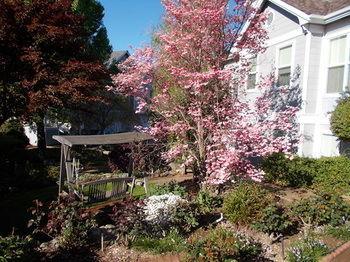Bed & Breakfast The Inn At 161