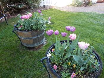 Bed & Breakfast The Inn At 161 Sutter Creek